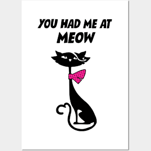 You Had Me At Meow Posters and Art